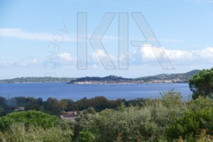 agence immobilière Grimaud