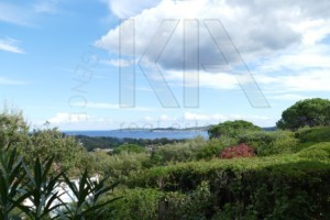 agence immobilière Grimaud
