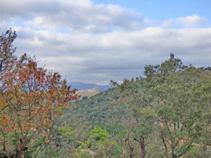 Propriété à vendre Grimaud