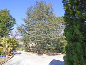 Propriété à vendre Grimaud