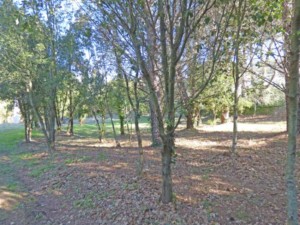 Achat maison Grimaud