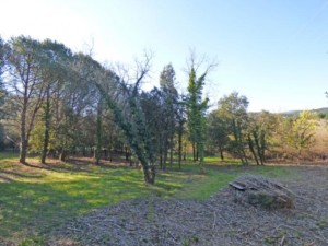 Achat maison Grimaud