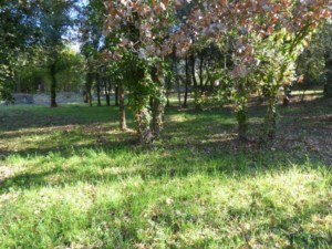 Achat maison Grimaud