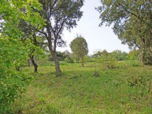 Achat maison Grimaud