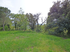 Achat maison Grimaud