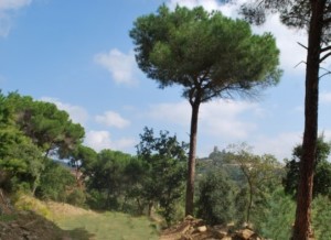Achat maison Grimaud