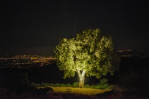 Propriété à vendre Grimaud
