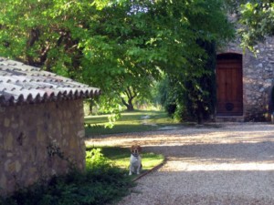 Propriété à vendre Grimaud