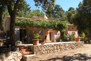 agence immobilière Grimaud