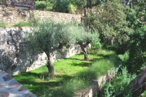 Immobilier Grimaud