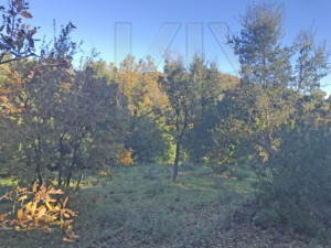agence immobilière Grimaud