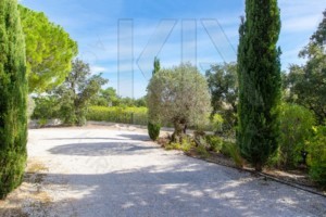 agence immobilière Grimaud
