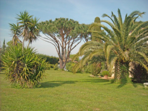 Maison à vendre Grimaud