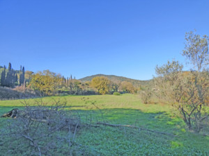 Propriété à vendre Grimaud