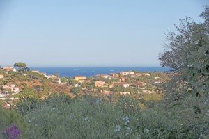 Immobilier Grimaud