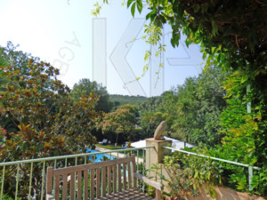 Immobilier Grimaud