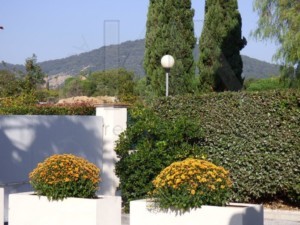 Immobilier Grimaud