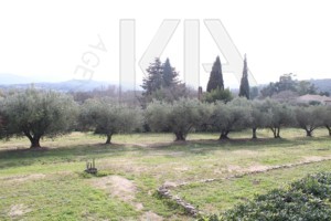 Immobilier Grimaud