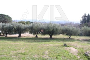Immobilier Grimaud
