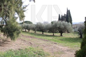 Immobilier Grimaud