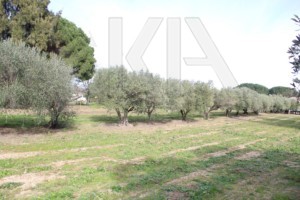 Immobilier Grimaud