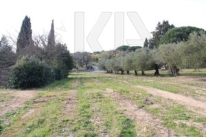 Immobilier Grimaud