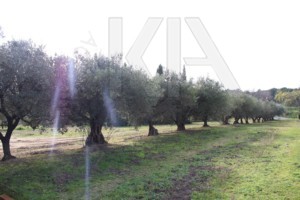 Immobilier Grimaud