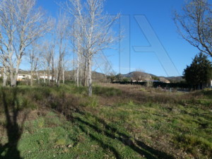 Immobilier Grimaud