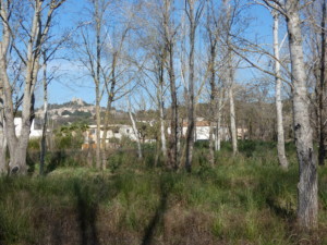 Immobilier Grimaud