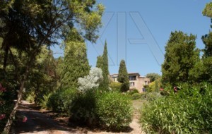 Immobilier Grimaud