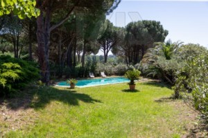 Immobilier Grimaud