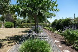 agence immobilière Grimaud