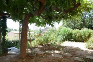 agence immobilière Grimaud