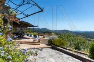 agence immobilière Grimaud