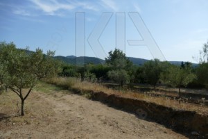 agence immobilière Grimaud