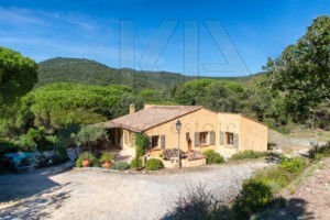 agence immobilière Grimaud