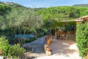 agence immobilière Grimaud