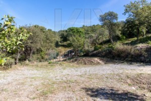 agence immobilière Grimaud