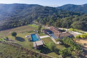 agence immobilière Grimaud