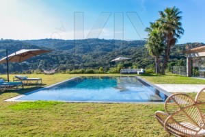 agence immobilière Grimaud