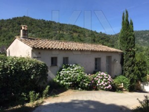 agence immobilière Grimaud