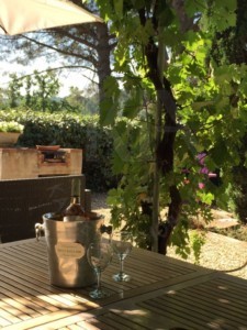 agence immobilière Grimaud