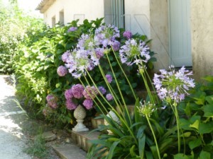 agence immobilière Grimaud