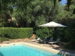 agence immobilière Grimaud