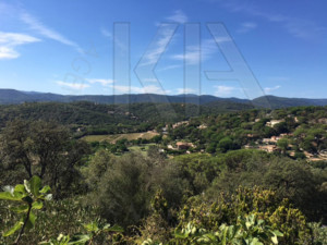agence immobilière Grimaud