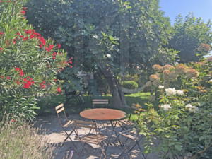 agence immobilière Grimaud