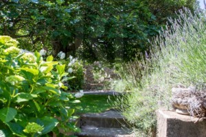 agence immobilière Grimaud