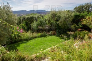 agence immobilière Grimaud