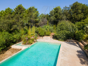 agence immobilière Grimaud