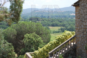 agence immobilière Grimaud